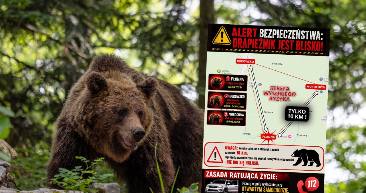 Niedźwiedź zaatakował rolników na Podkarpaciu. Pilny apel do mieszkańców