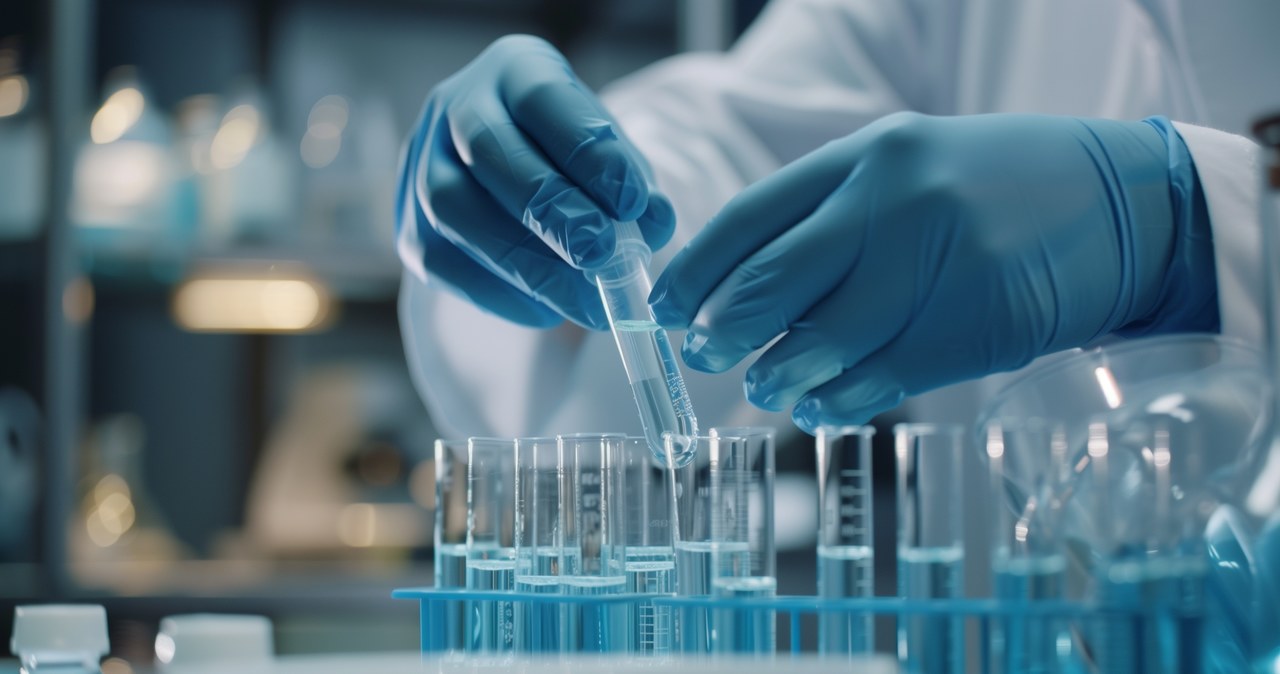 Sukces hiszpańskich naukowców. Odkrycie, które może rozpocząć nową erę w transplantologii