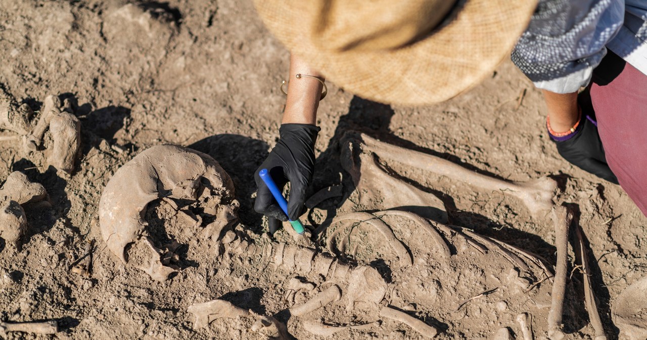 ​Zaskakujące znalezisko w Zielonkach. Jakie tajemnice skrywa ziemia krakowska?