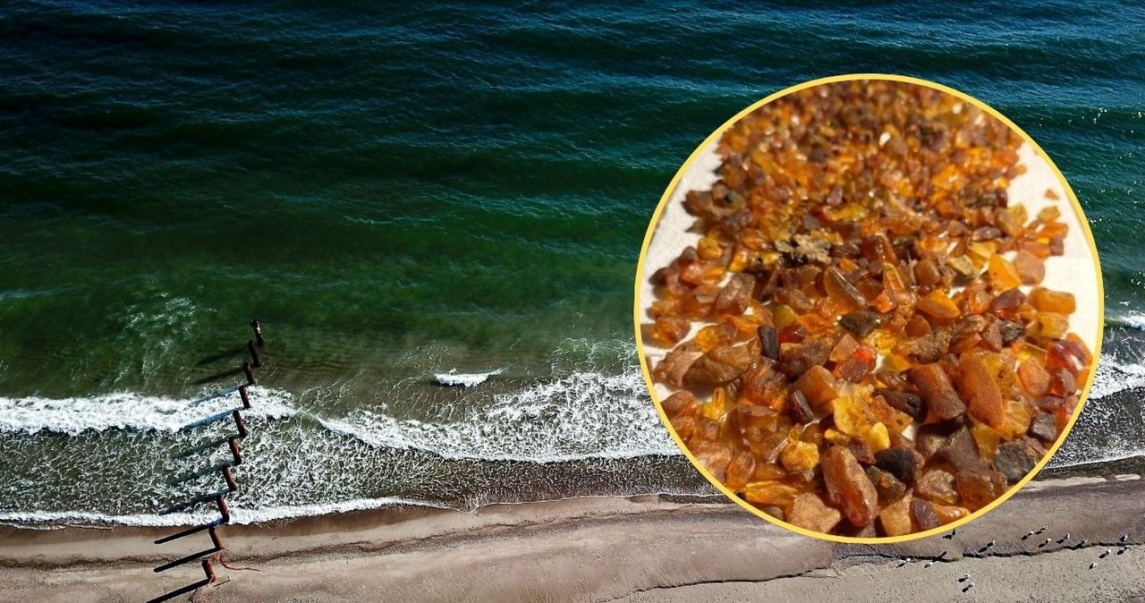 Bałtyk wyrzucił na brzeg prawdziwe skarby. Polacy ruszyli na łowy