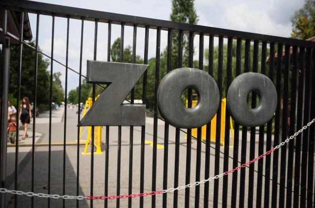 Duże pieniądze zgubione w zoo. Apel policji