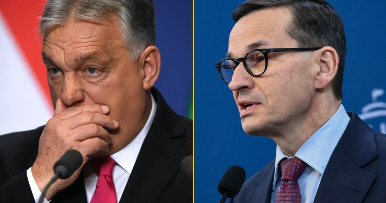 Morawiecki ruszył z odsieczą Orbanowi. Ramię w ramię z liderką AfD