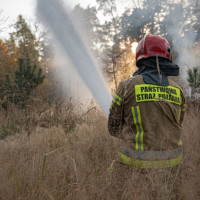 „Duże zagrożenie pożarowe lasów”. RCB ostrzega