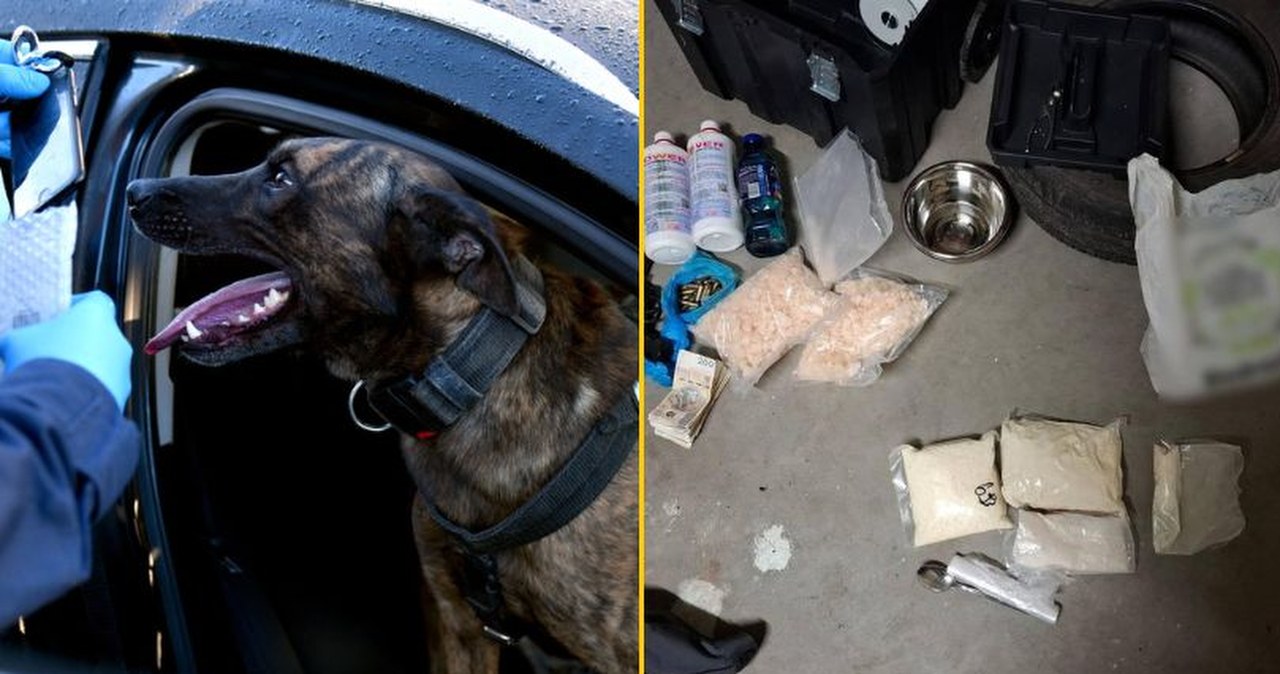 Narkotykowy gang z Podlasia rozbity. Spektakularna akcja policji