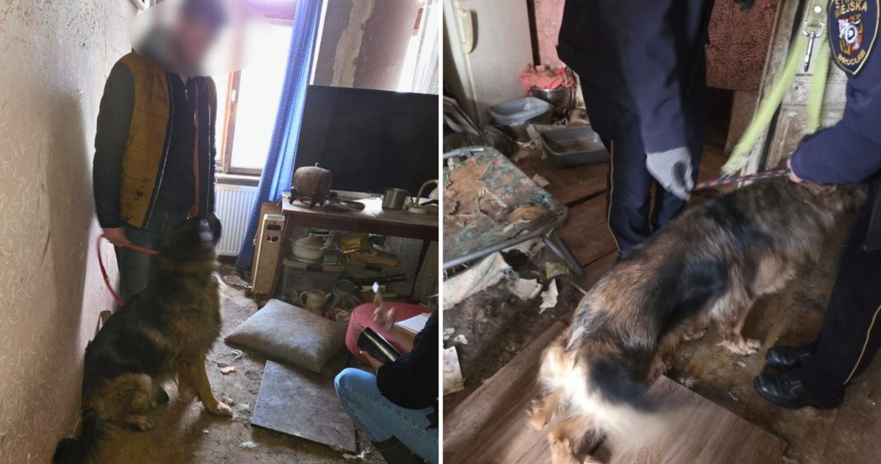 Bez dostępu do wody i pożywienia, we własnych odchodach. Dramat we Wrocławiu