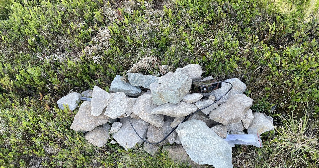 Kradzież urządzeń badawczych w Tatrach. Pilny apel naukowców