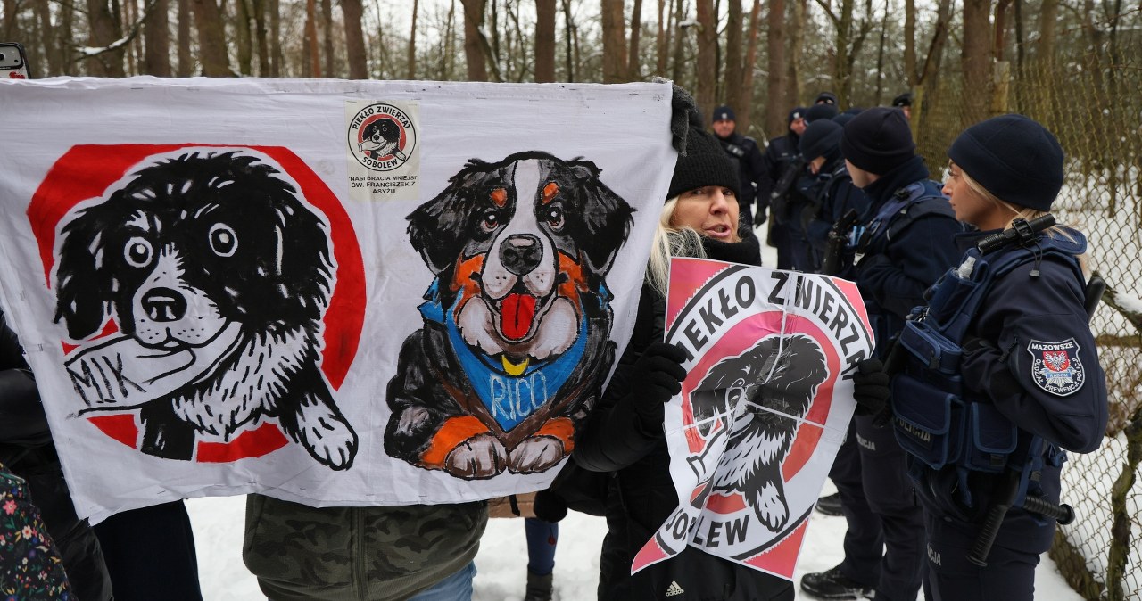 O tym schronisku głośno było w całej Polsce. Jest wyrok dla właściciela