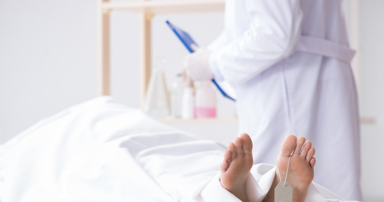 Makabryczny proceder na Harvardzie: Kradzież, sprzedaż zwłok i decyzja sądu