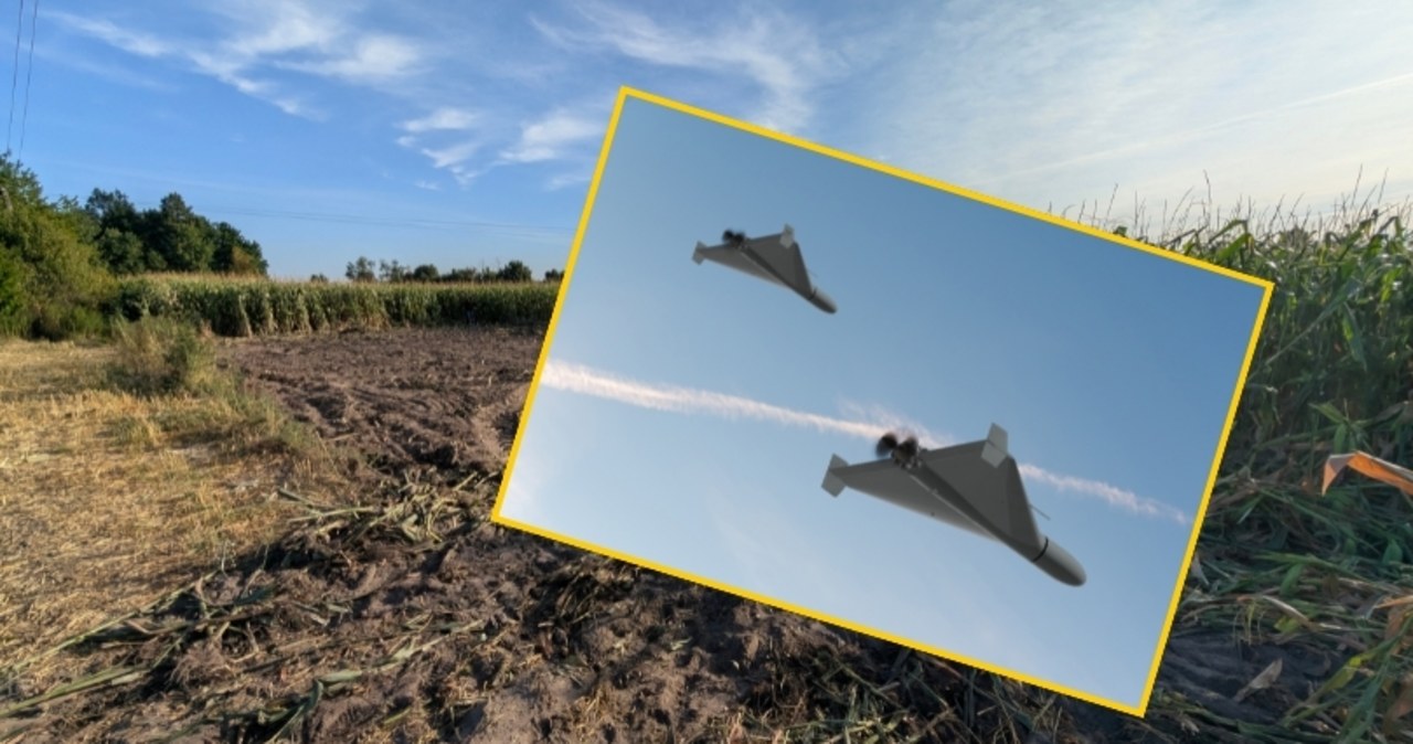 Dron bojowy rozbił się w Estonii. To nie była rosyjska maszyna