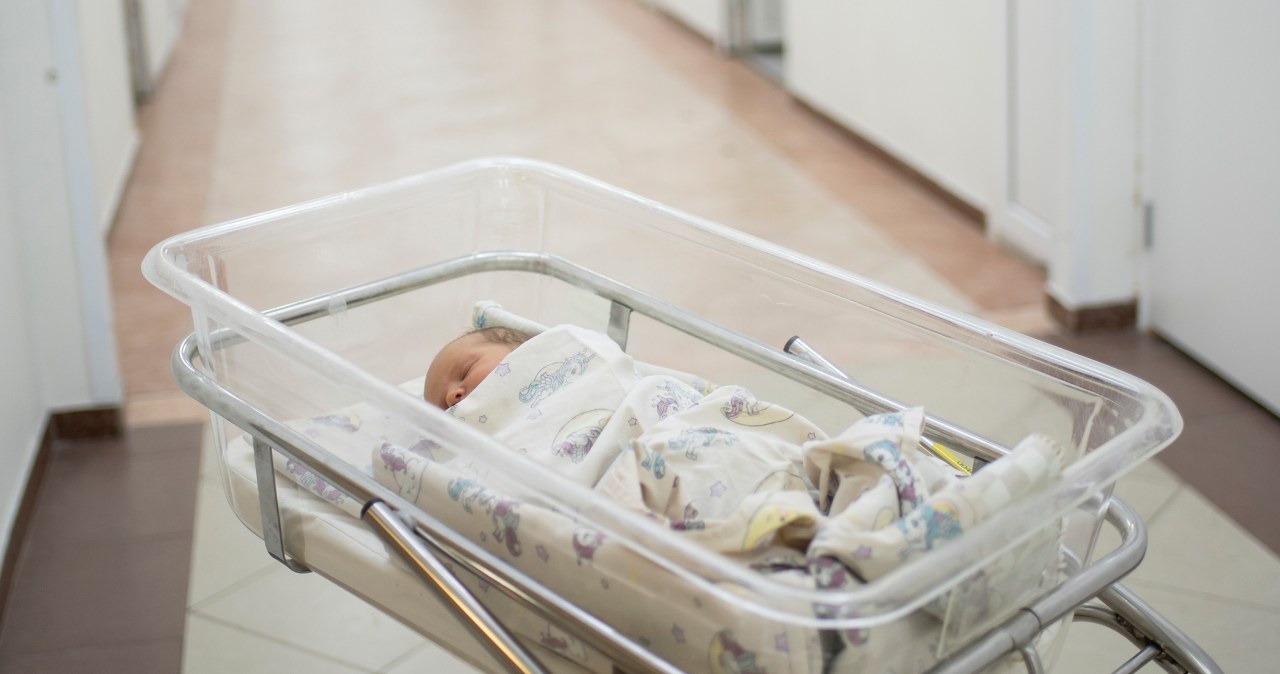 ​500 plus nie zadziałało. Twórca programu wskazuje powody