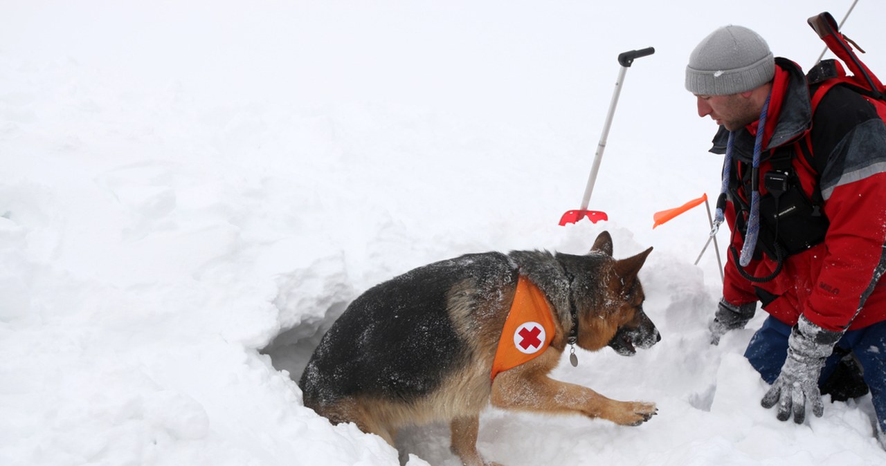 Andrzej zaginął w Tatrach. Ostatni ślad na Kasprowym Wierchu