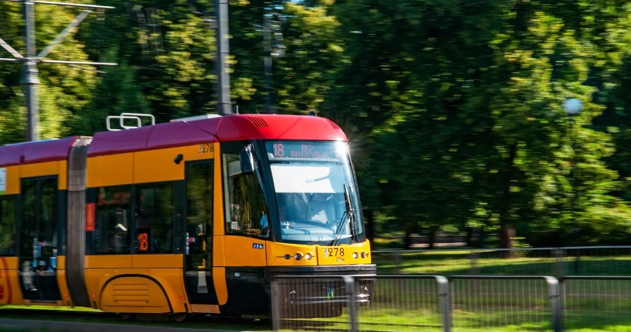 Drzewo spadło na tramwaj. Służby na miejscu