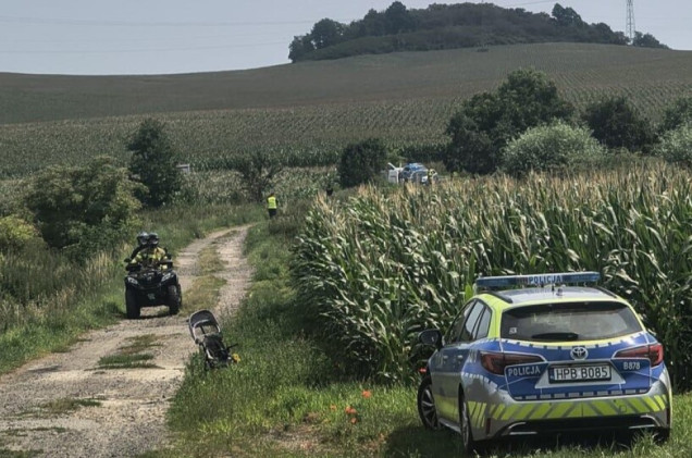 Dwulatek zaginął w polu kukurydzy