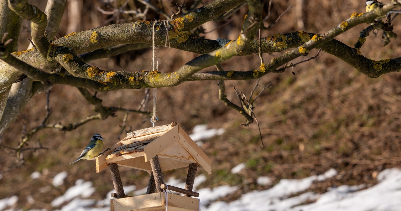 To już koniec zimy? Na horyzoncie widać słońce