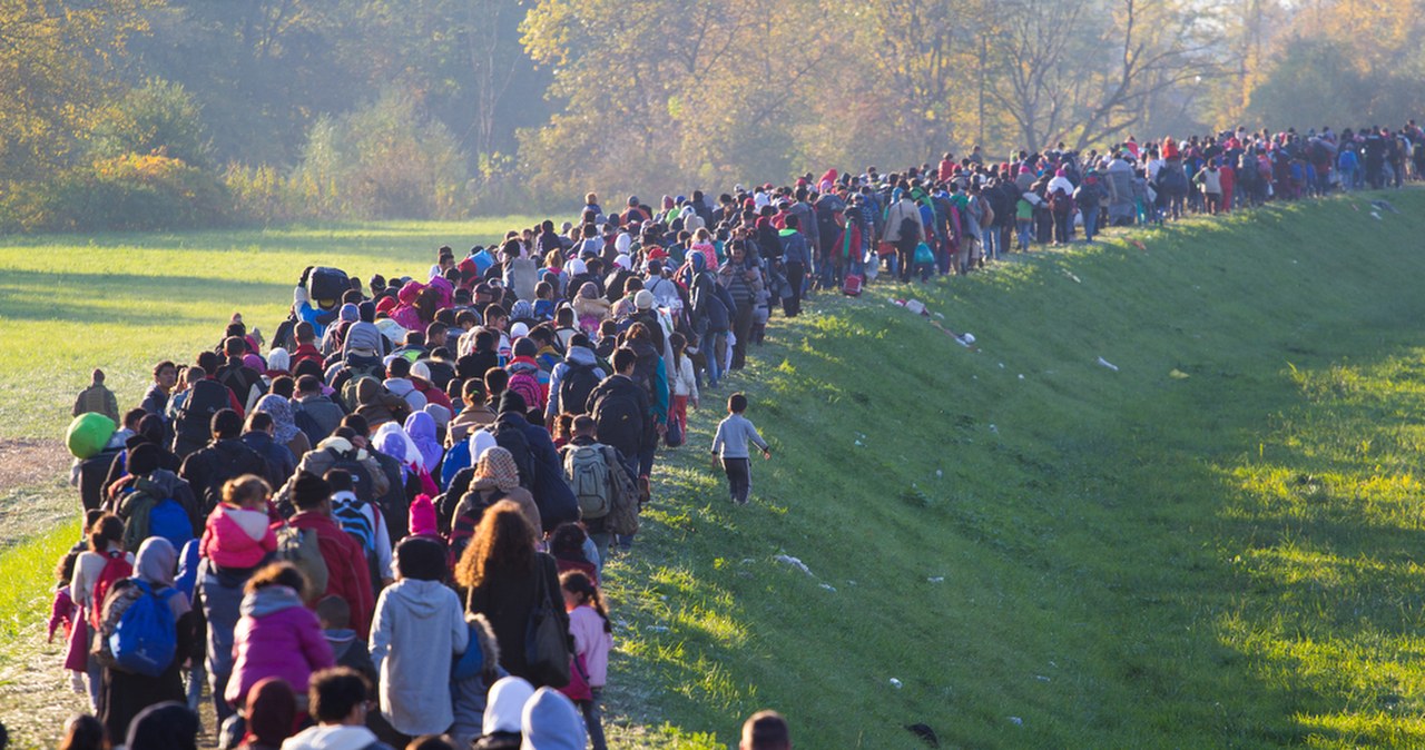 Rekordowa liczba migrantów w UE. W Niemczech to już ponad 1/5 populacji