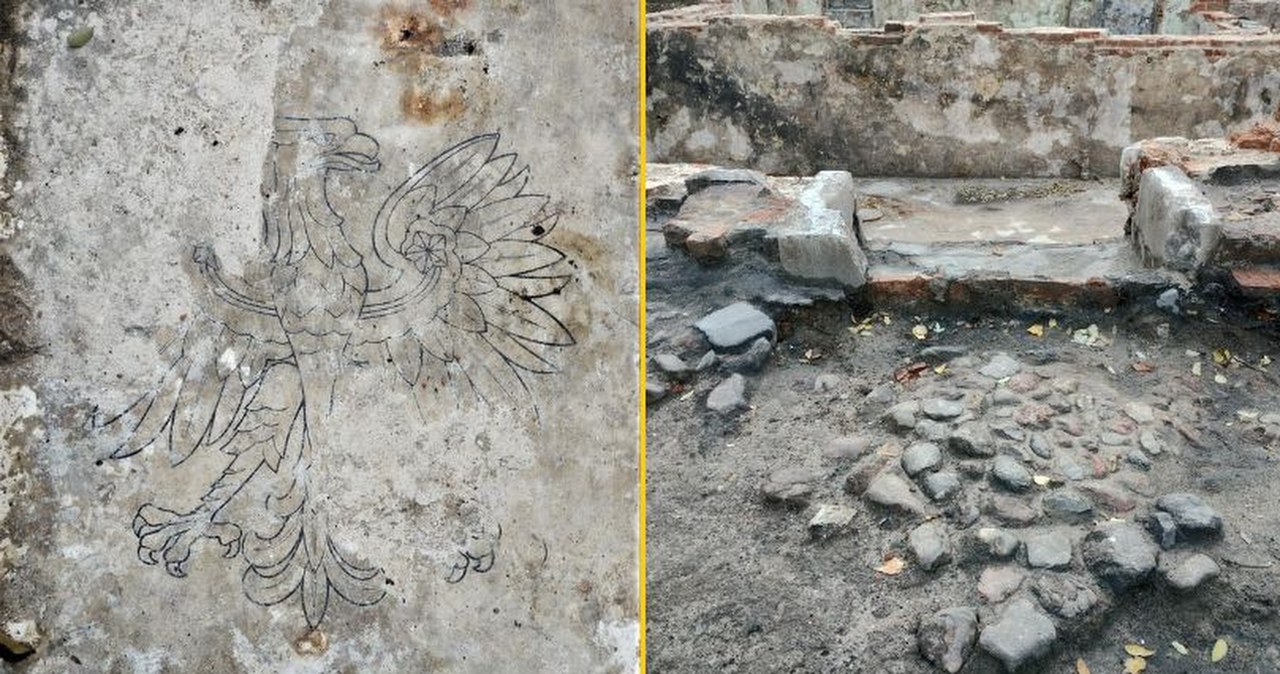 Odkrycie archeologiczne w Warszawie. Polskie godło na podłodze piwnicy