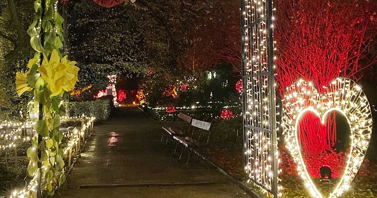 Popularna zimowa atrakcja wraca do Warszawy. Ruszyła sprzedaż biletów