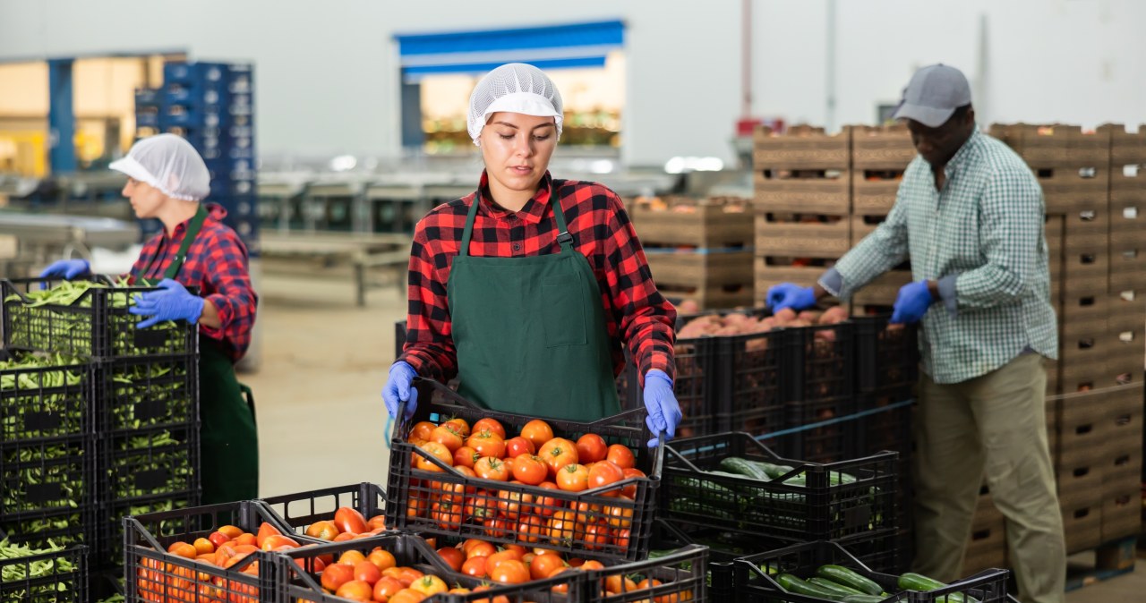 Ilu cudzoziemców pracuje w Polsce? Nowe dane GUS