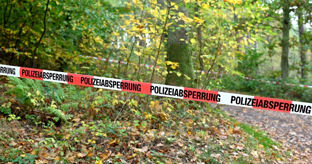Makabryczne odkrycie w lesie. Matka i dziecko brutalnie zamordowane