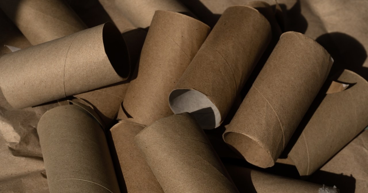 Puste rolki po papierze toaletowym? Nie wyrzucaj, w ogrodzie to prawdziwy skarb