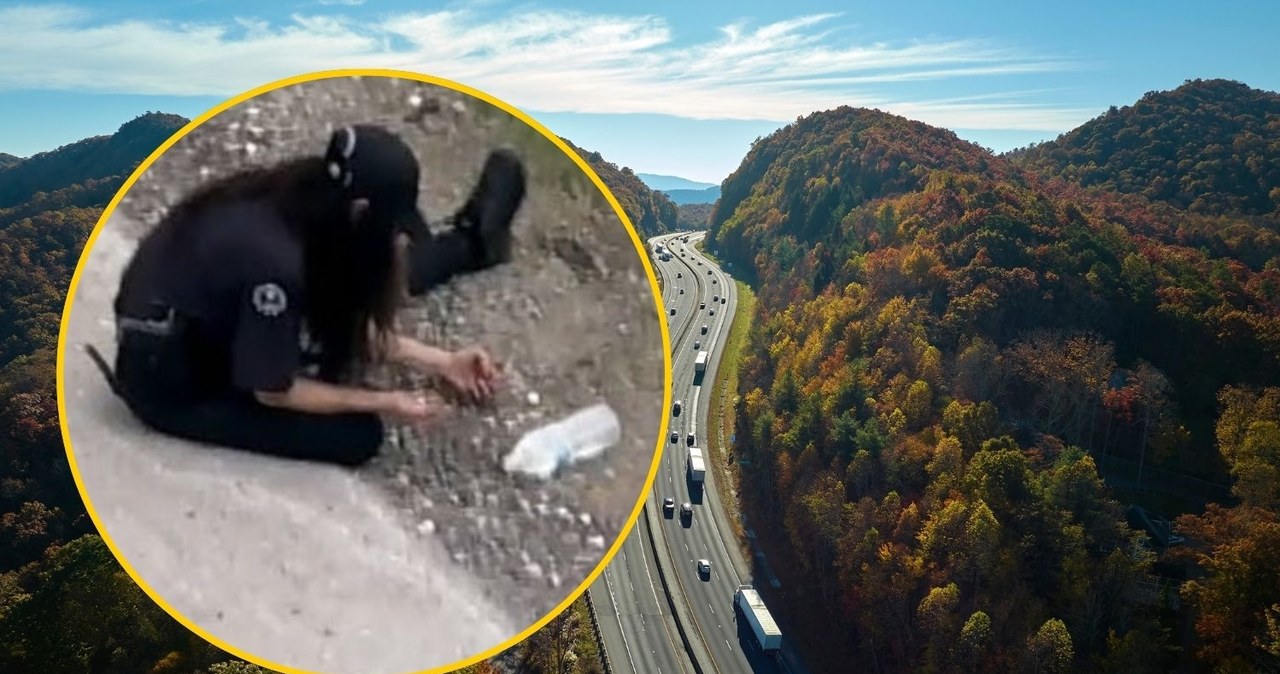 Nietypowy wypadek. Autostrada zamieniła się w skarbiec