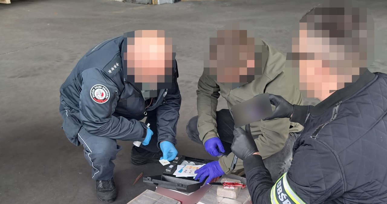Największy taki przemyt od ponad dekady. Ukryli to w kontenerach z cegłami
