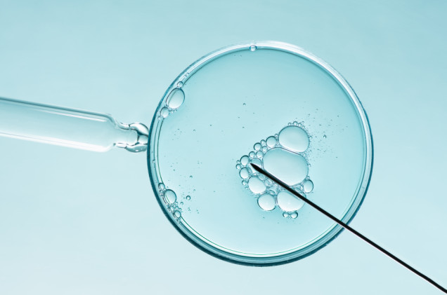 Kreml sfinansuje in vitro dla wdów po poległych żołnierzach