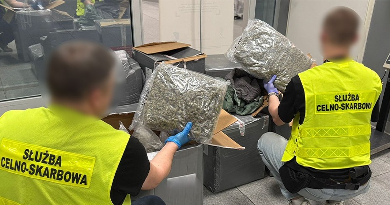 Marihuana ukryta w ubraniach. Spektakularna akcja służb na Mazowszu