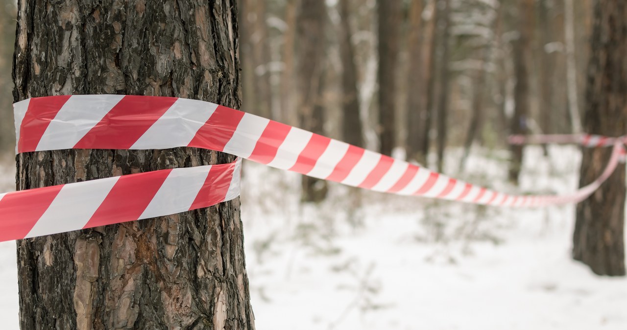 ​Tragiczny finał poszukiwań naukowca z Rzeszowa