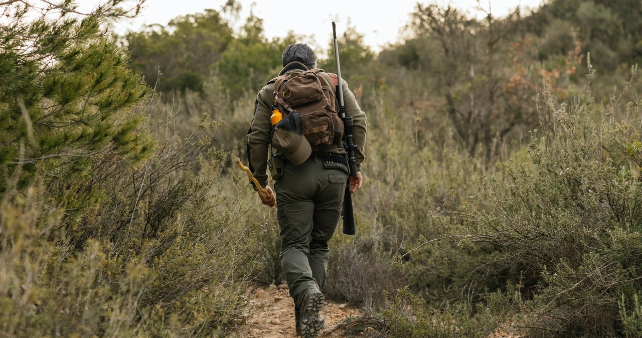 Szokująca pomyłka podczas polowania. Jest ruch prokuratury