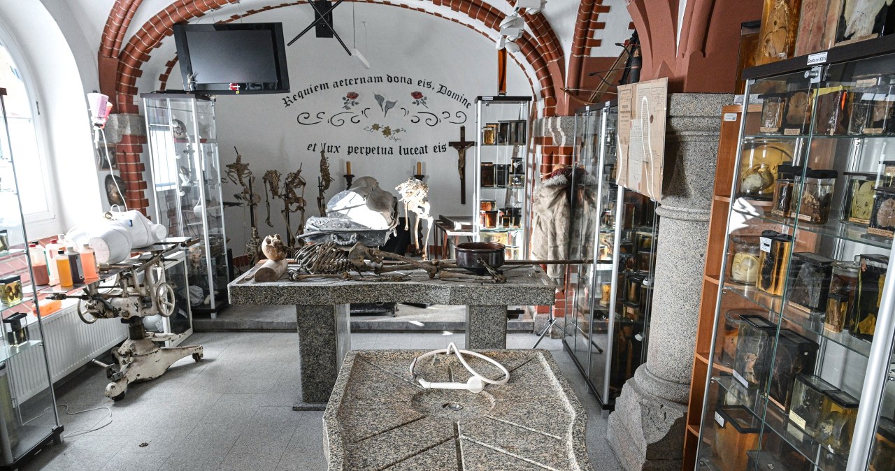 To najbardziej niezwykłe muzeum w Polsce. Jest pełne szokujących eksponatów