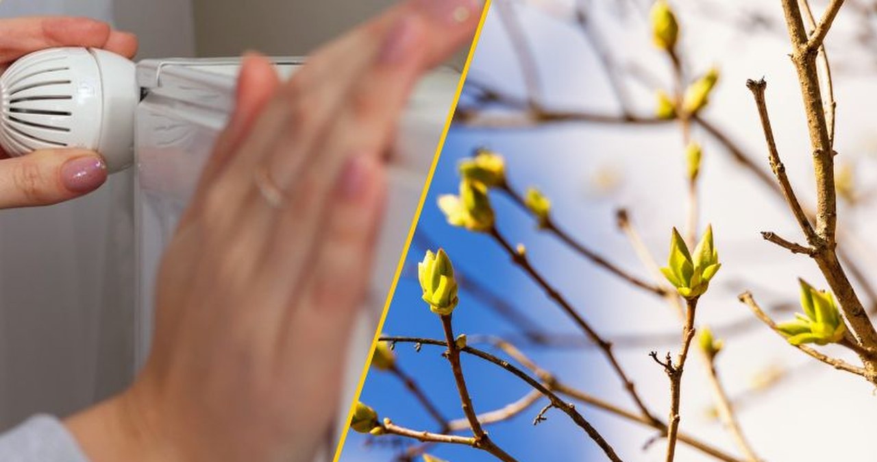 Koniec ciepłych kaloryferów? Oto, kiedy naprawdę skończy się sezon grzewczy