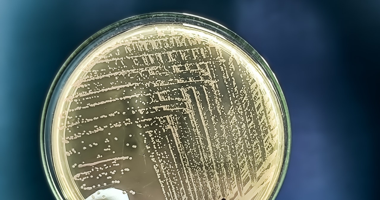 ​Sześć miejscowości bez wody. To kolejny taki przypadek na Dolnym Śląsku