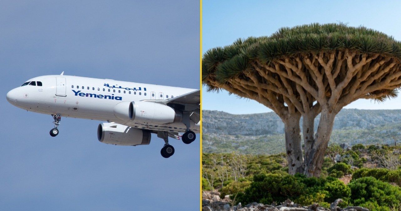 Utknęli na oceanicznej wyspie. 609 turystów ewakuowanych z Sokotry