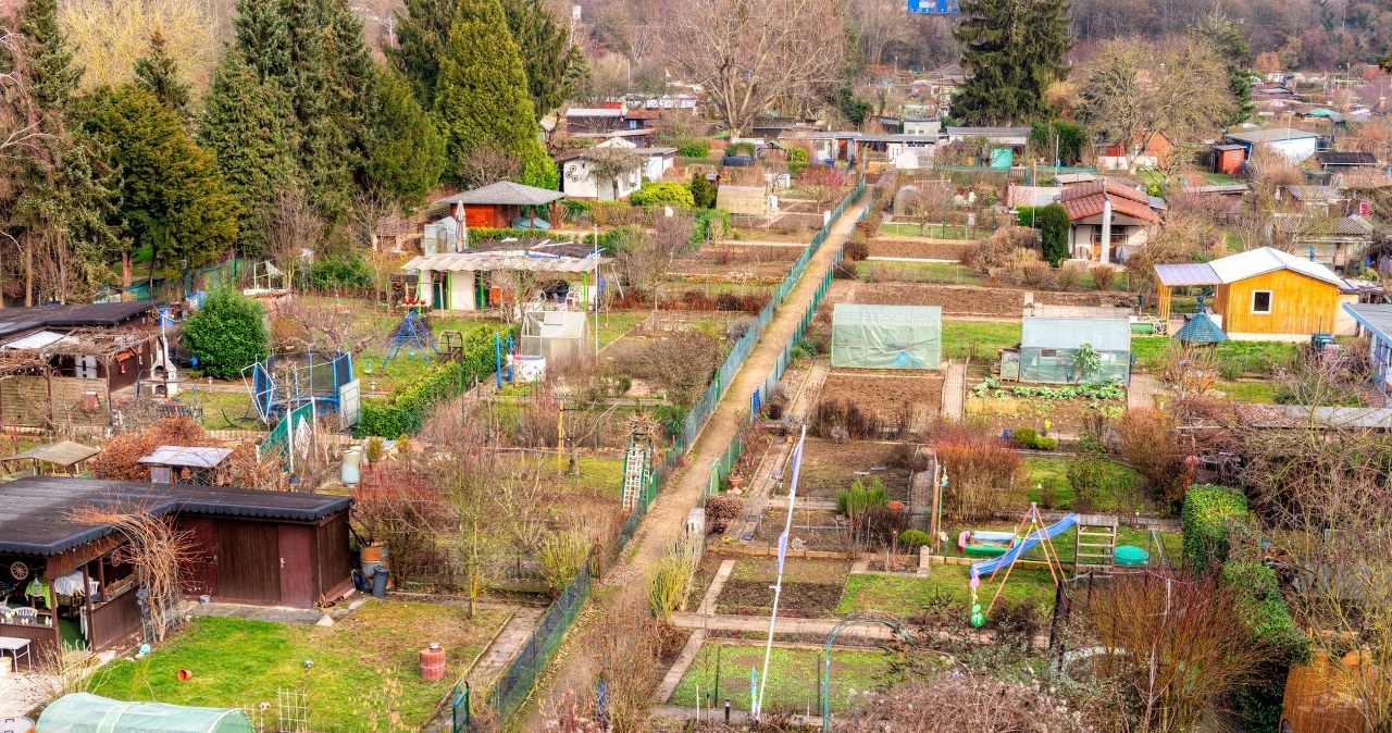 Działki ROD zostaną zlikwidowane? Jest apel do rządu