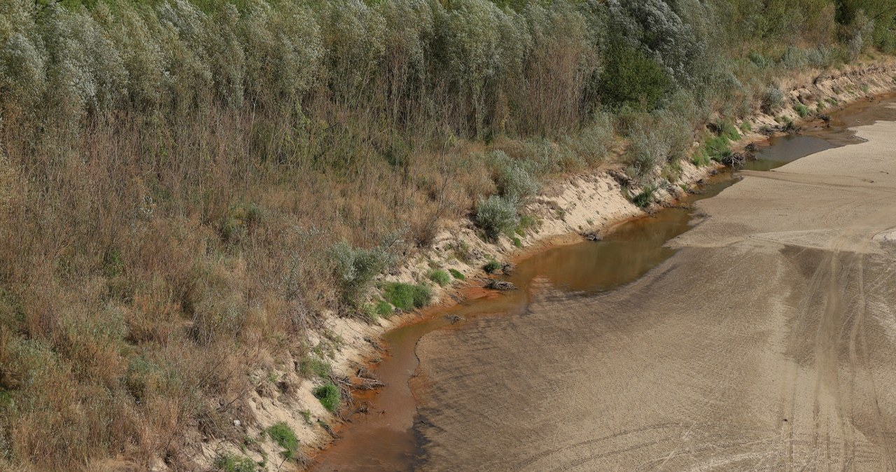 Niezwykłe znalezisko w Wiśle. To fragment drewnianej łodzi