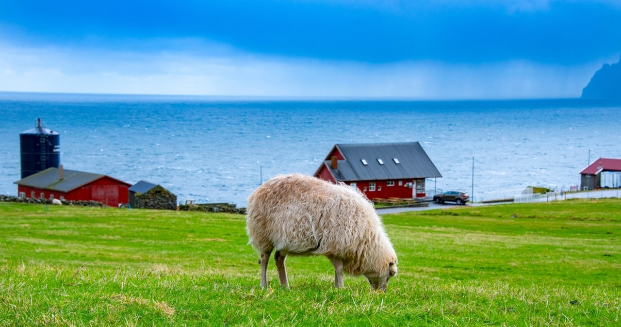 Rosja ostrzegła Wyspy Owcze: "Wysłaliśmy list". Morskie szpiegostwo w tle