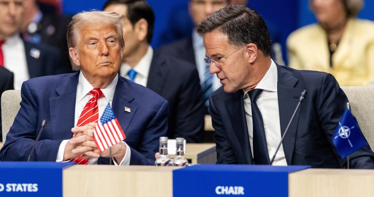 Rutte nazwał Trumpa "tatusiem". Co miał na myśli szef NATO?