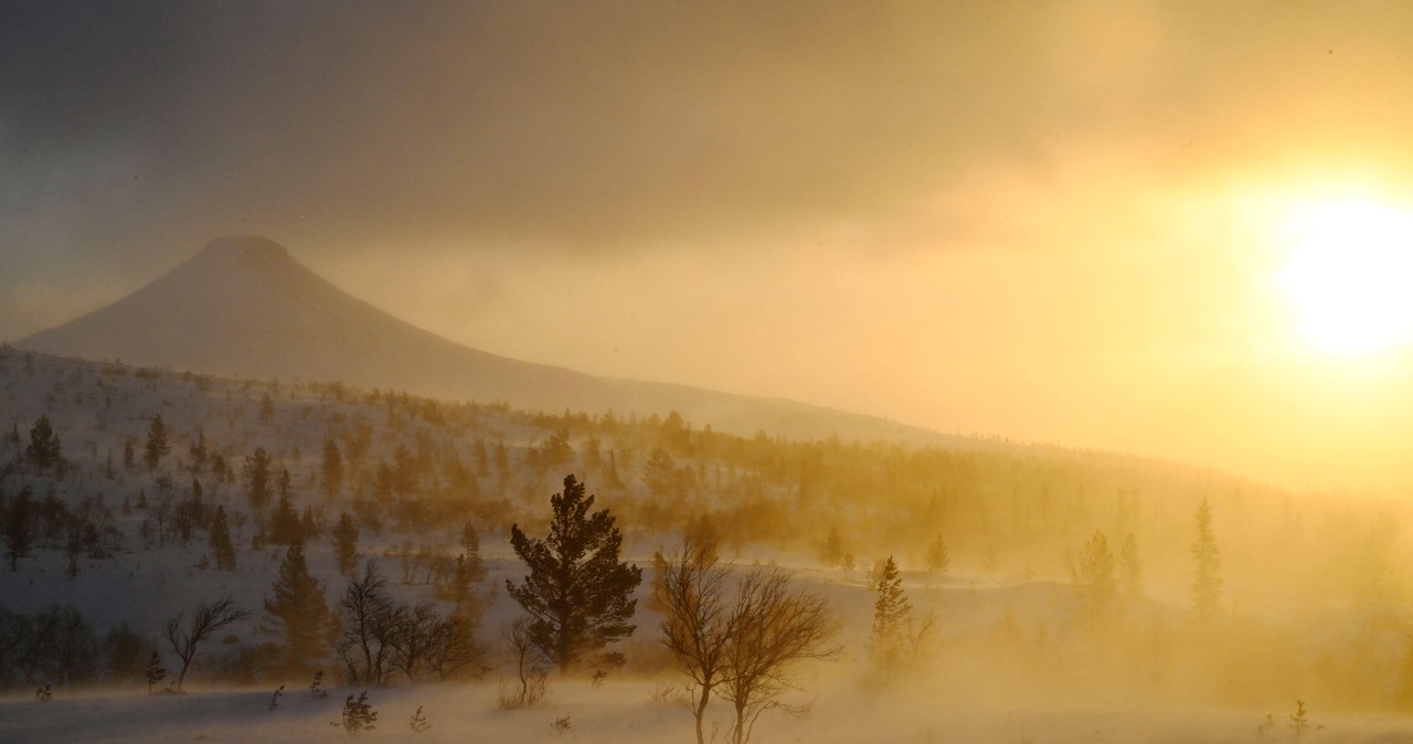 Tak tragicznej sytuacji nie było od dekady. Ogromne straty po przejściu sztormu Johannes