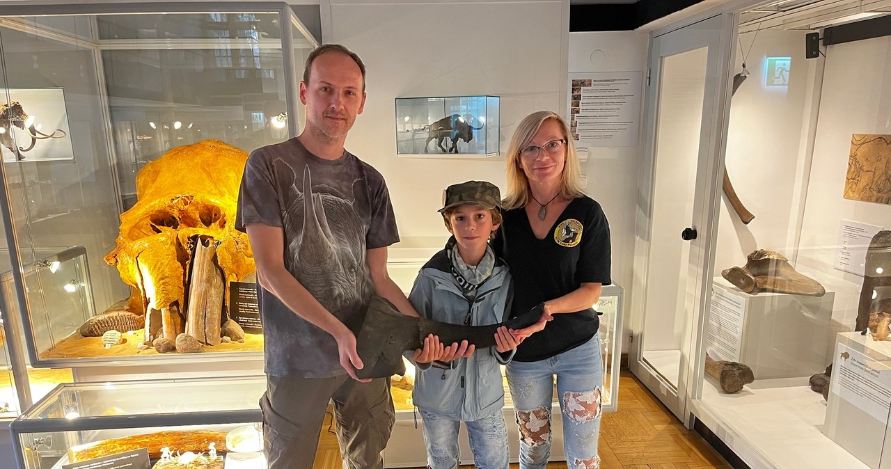 ​Czaszka wymarłego prażubra w Wiśle. Znalazł ją nastolatek