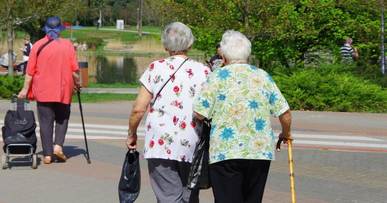 Kolejne wsparcie dla seniorów. Jak i kiedy złożyć wniosek o bon senioralny?
