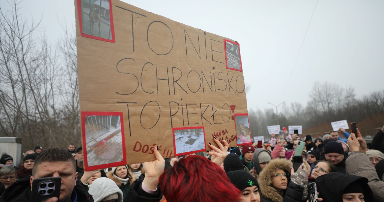 Jest śledztwo ws. schroniska w Bytomiu. Miasto apeluje o adopcje zwierząt