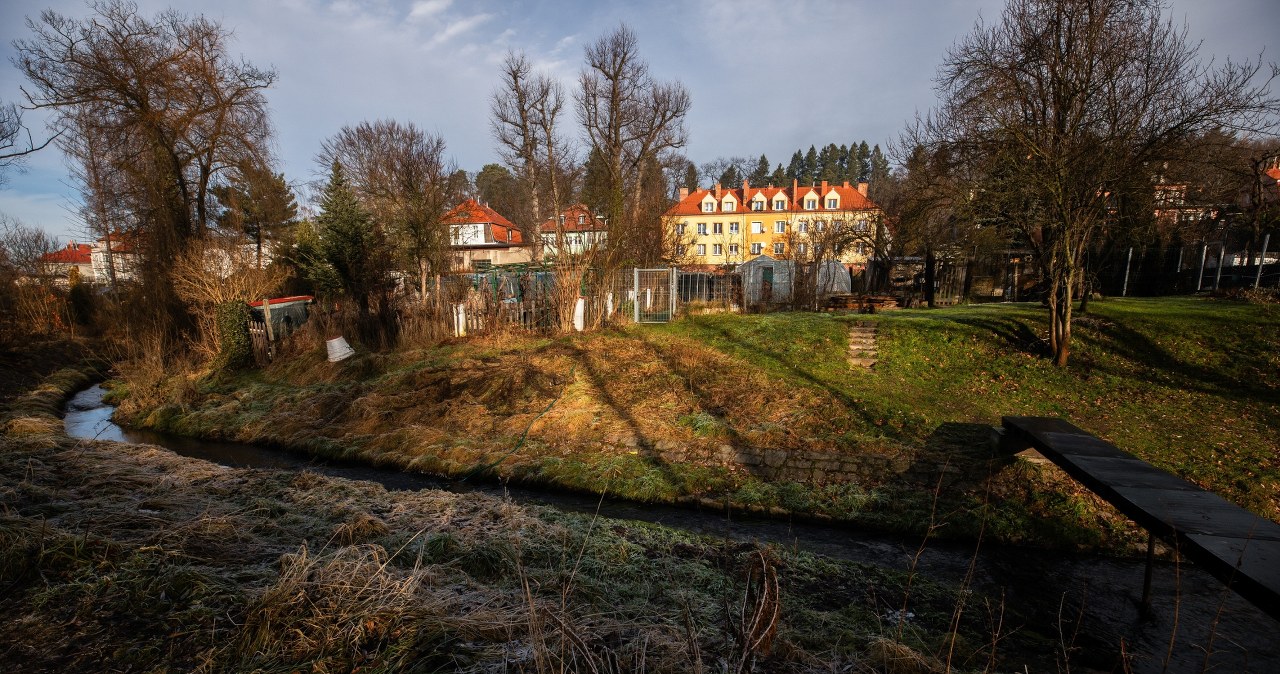 Zabójstwo 11-latki w Jeleniej Górze. Co dalej z zatrzymaną 12-latką?