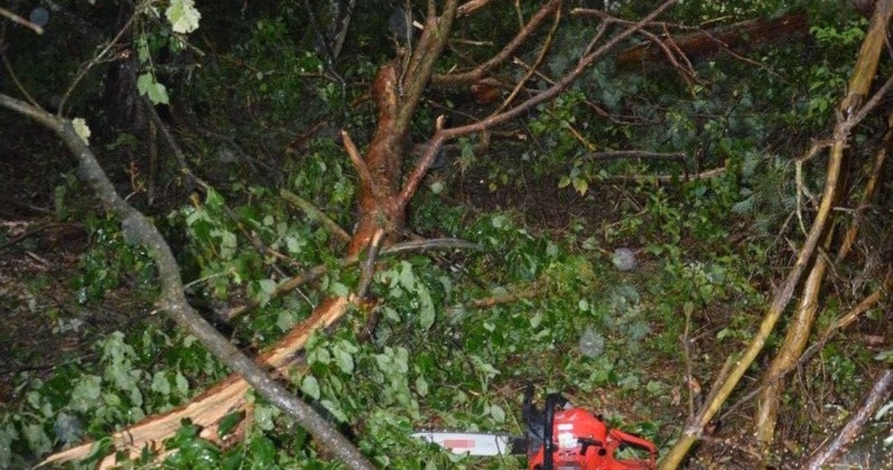 Tragedia podczas sprzątania po burzy. Nie żyje 56-latek