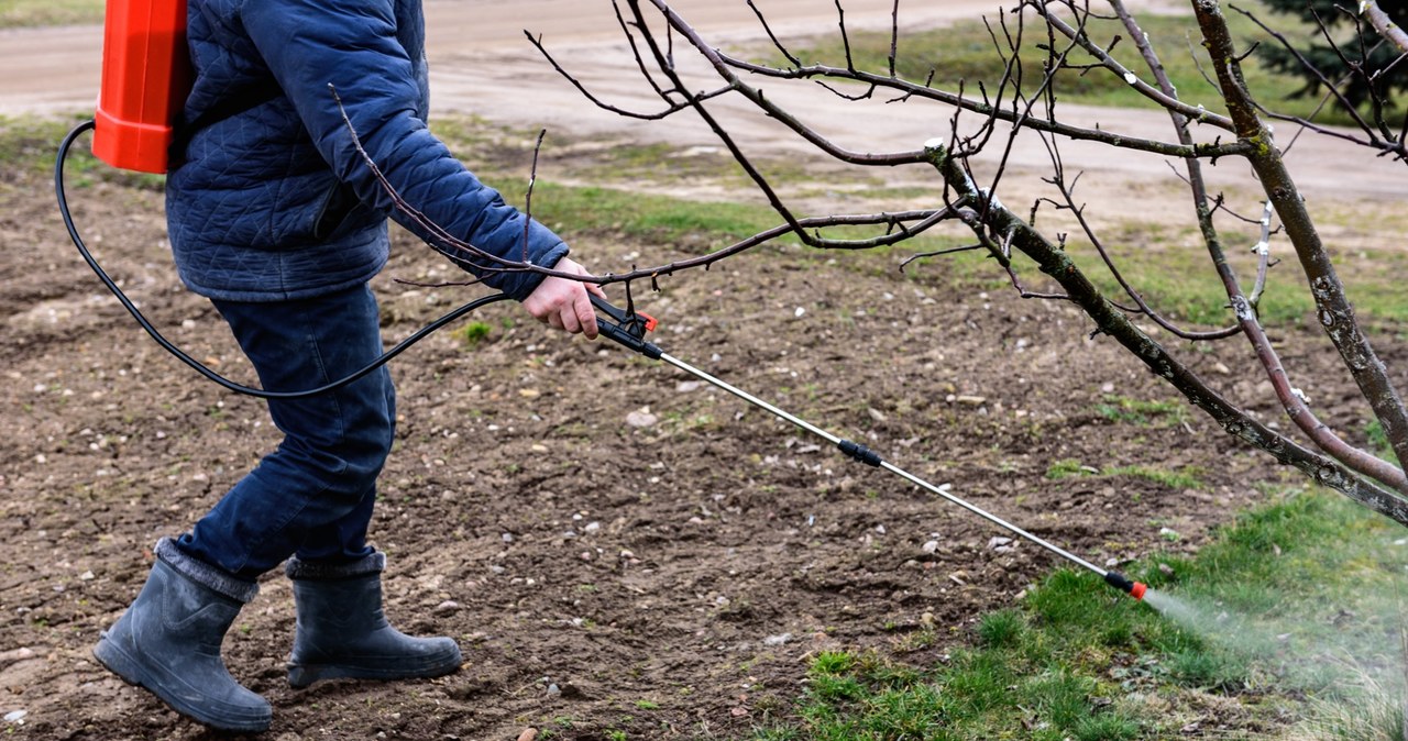 Ten pestycyd może szkodzić mózgom dzieci
