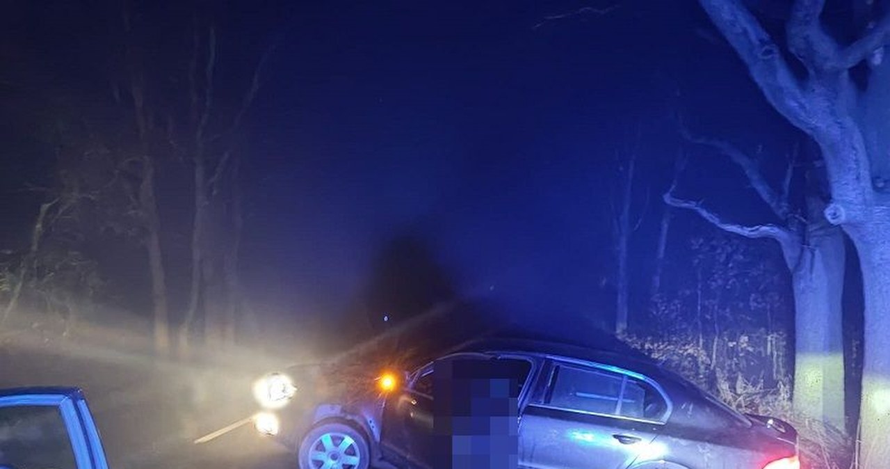 Miał prawie 4 promile. Kierowca z zakazem prowadzenia wpadł do rowu