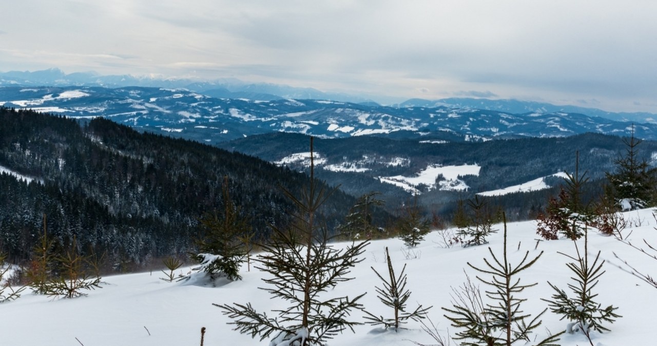 Największe od 16 lat październikowe opady śniegu w Czechach