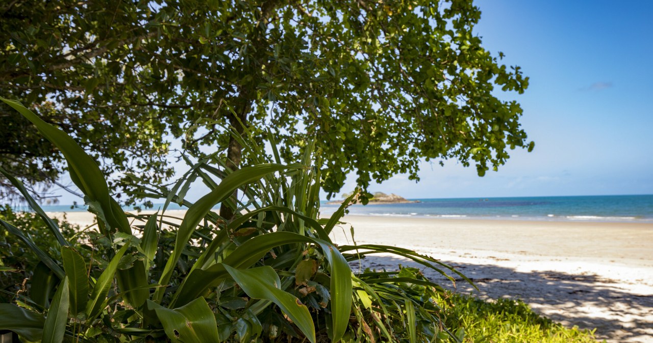 Dramat na rajskiej plaży: 14-latek zaatakowany przez krokodyla podczas wędkowania
