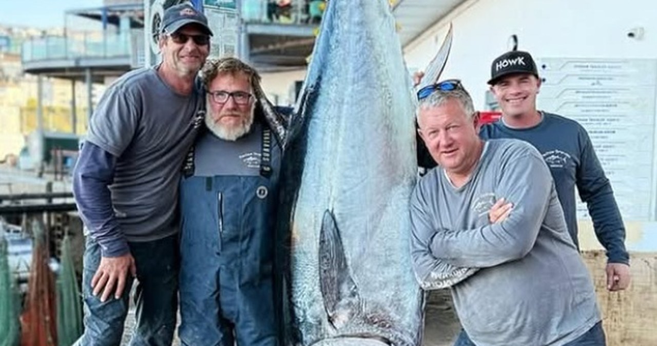 Rekordowy połów! 210-kilogramowy tuńczyk błękitnopłetwy sprzedany za 2 tysiące funtów