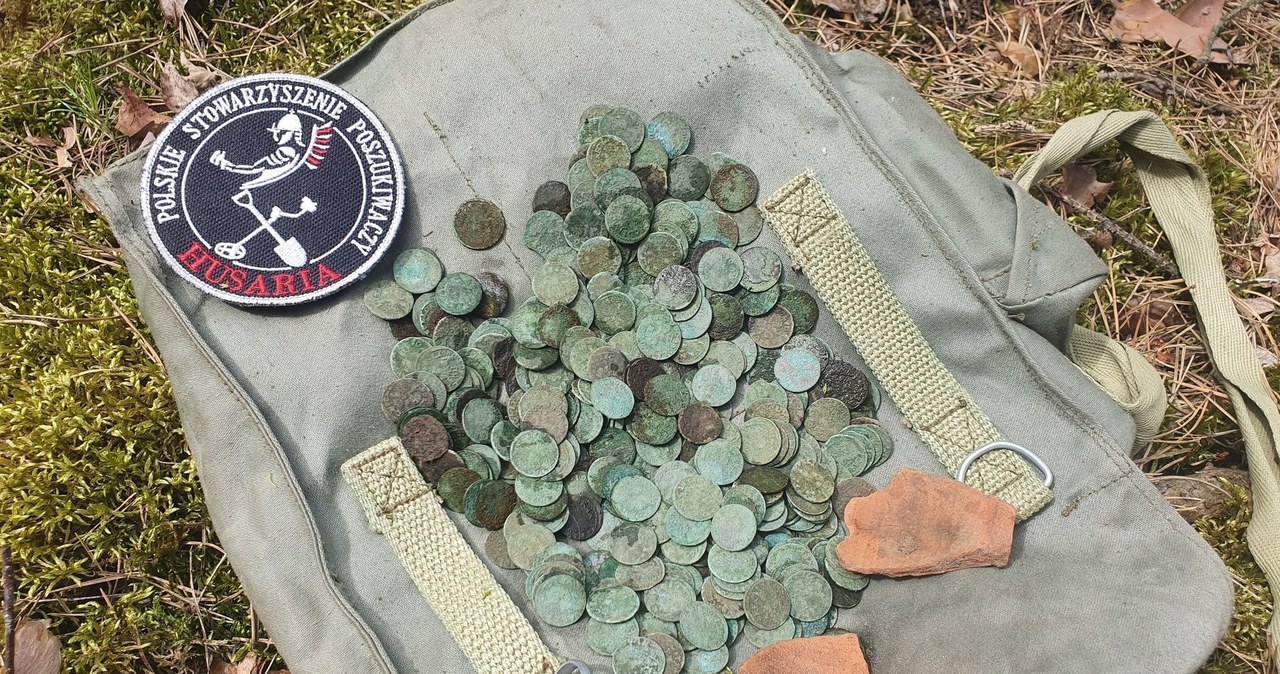Las koło Jadowa skrywał wyjątkowy skarb. Znaleziono setki monet